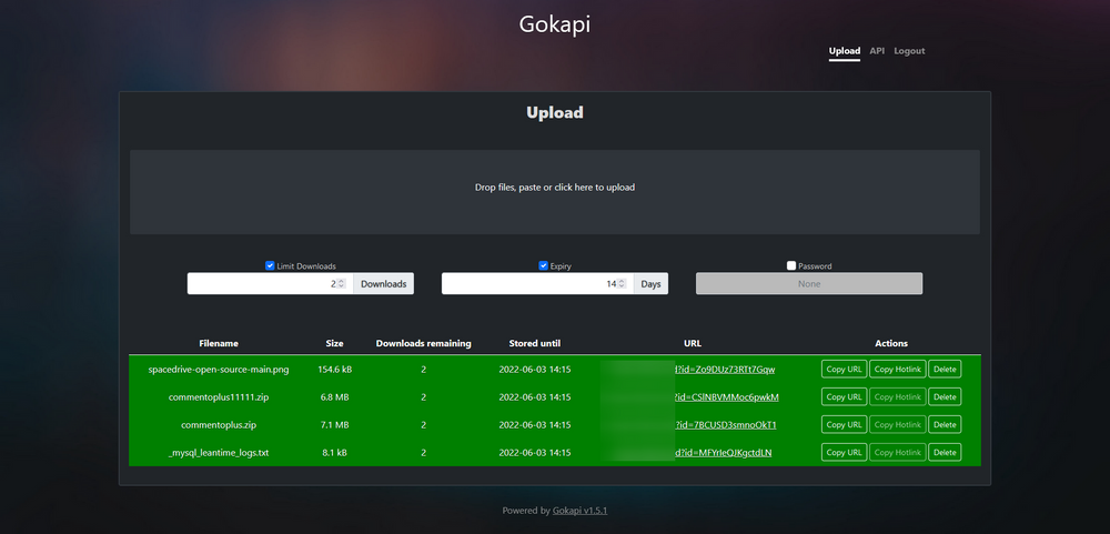 Gokapi - A Self Hosted and Lightweight Firefox Send Alternative