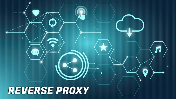 Reverse Proxy, or "How do I point a domain to an IP and Port?"